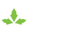 Иннопак